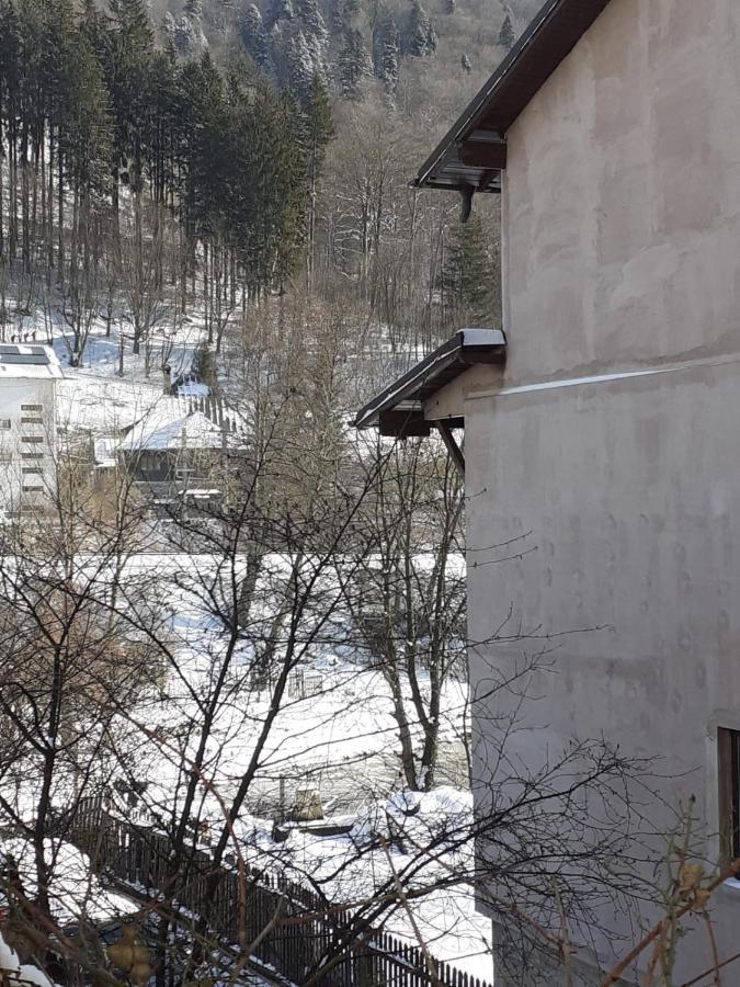 Casa Ryana Sinaia 호텔 외부 사진