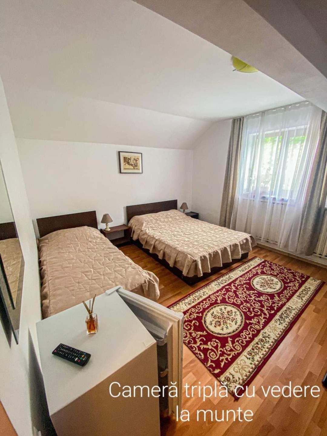 Casa Ryana Sinaia 호텔 외부 사진