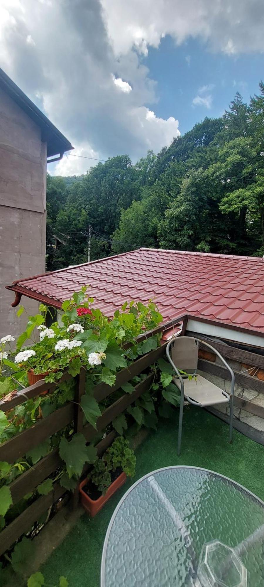 Casa Ryana Sinaia 호텔 외부 사진